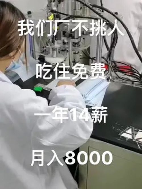 在医疗厂稳定就业 一个打工人的真实体验
